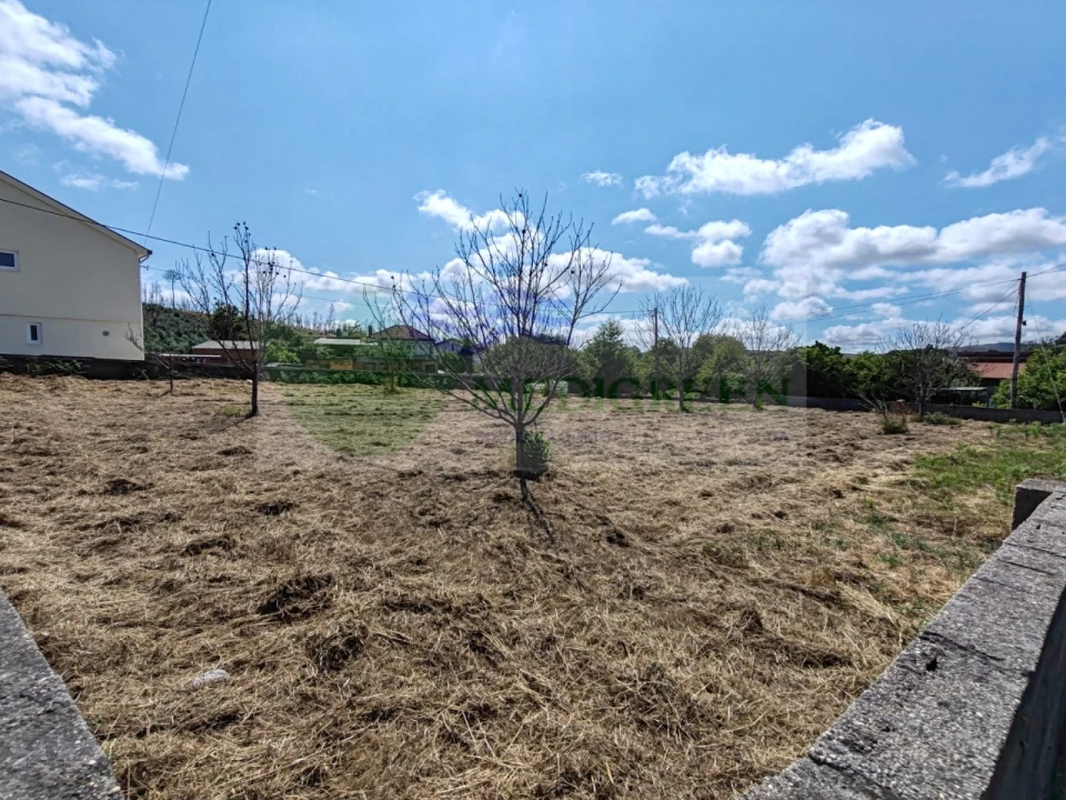 Terreno para Venda em Pessegueiro do Vouga Foto 1