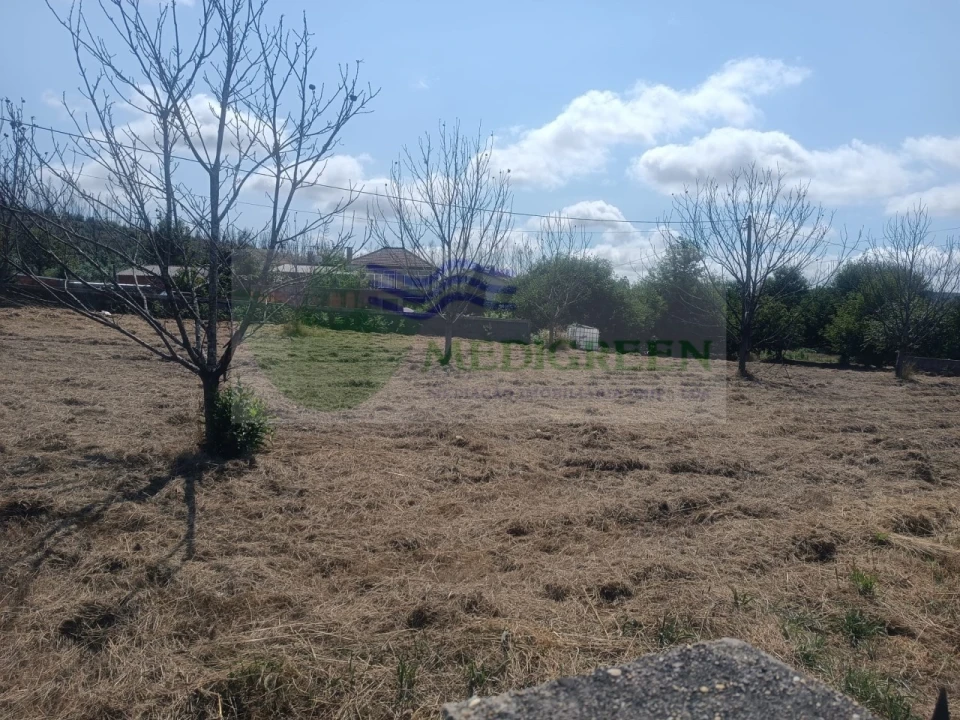Terreno para Venda em Pessegueiro do Vouga Foto 8