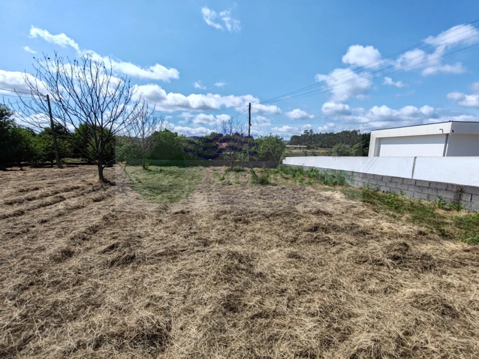 Terreno para Venda em Pessegueiro do Vouga Foto 11