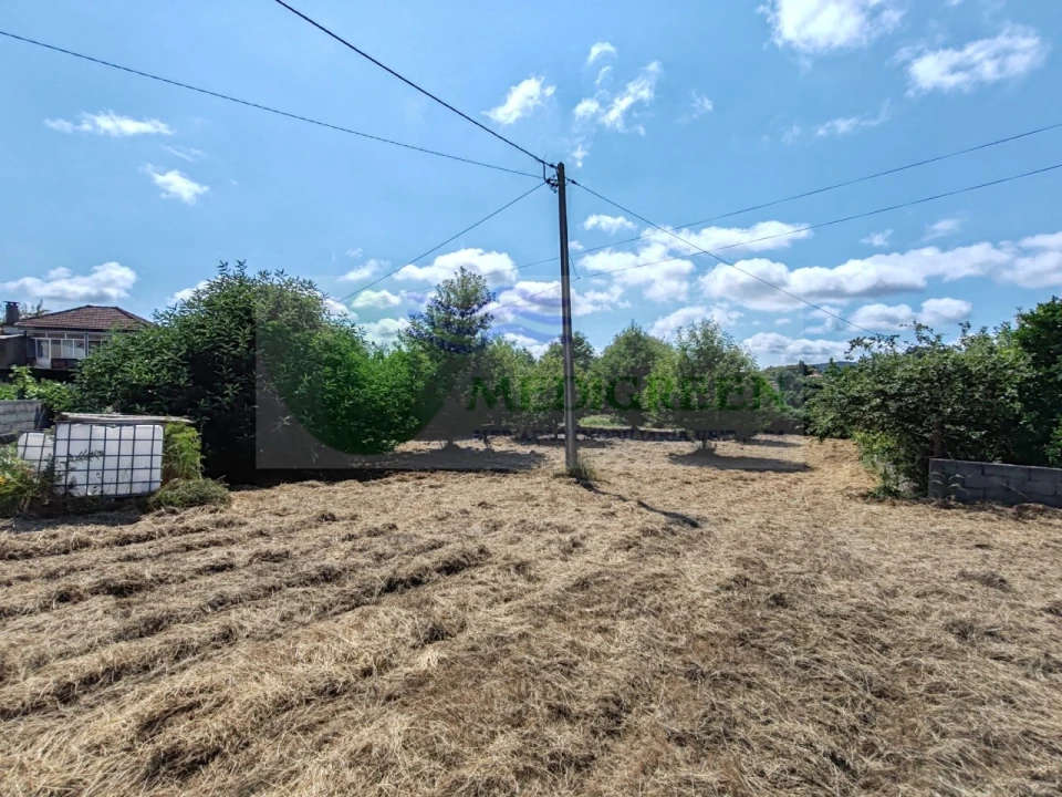 Terreno para Venda em Pessegueiro do Vouga Foto 12