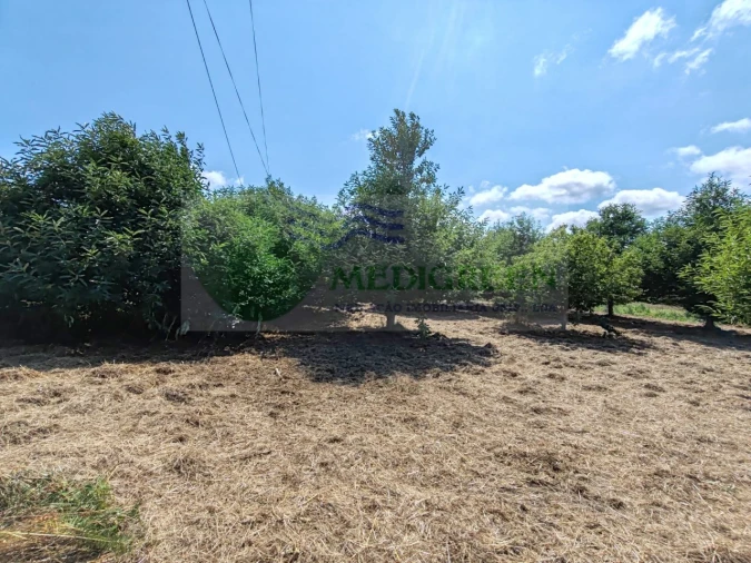 Terreno para Venda em Pessegueiro do Vouga Foto 9