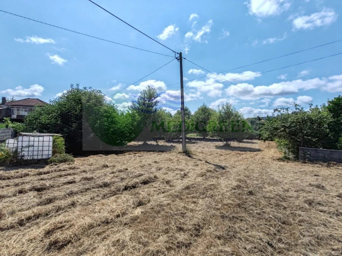 Terreno para Venda em Pessegueiro do Vouga Foto 12