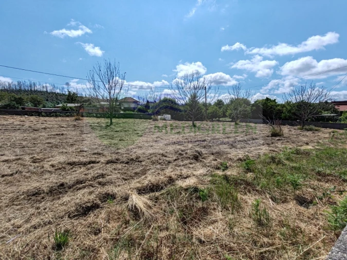 Terreno para Venda em Pessegueiro do Vouga Foto 14