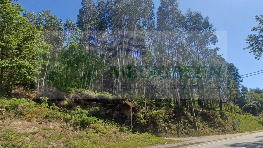 Terreno para Venda em Silva Escura e Dornelas