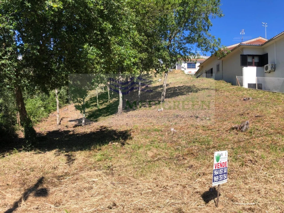 Terreno para Venda em Sever do Vouga Foto 1