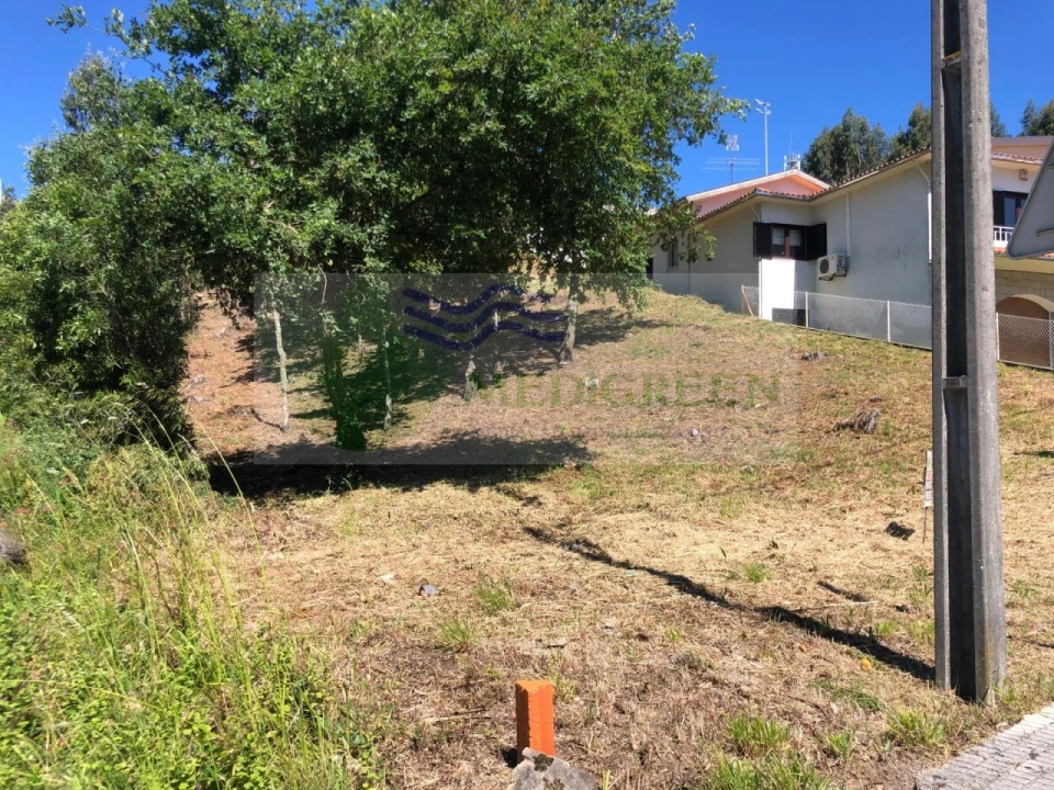 Terreno para Venda em Sever do Vouga Foto 2