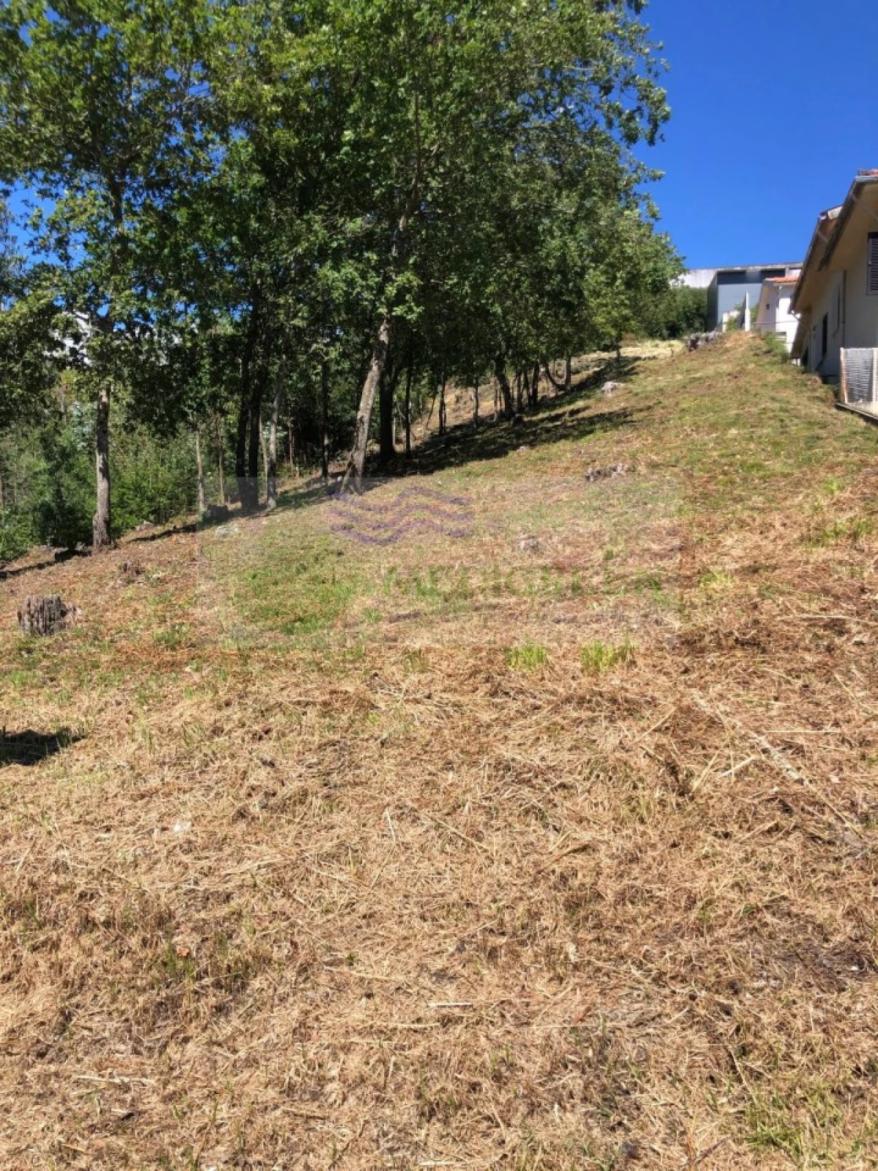 Terreno para Venda em Sever do Vouga Foto 3