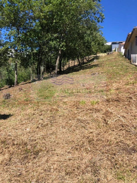 Terreno para Venda em Sever do Vouga