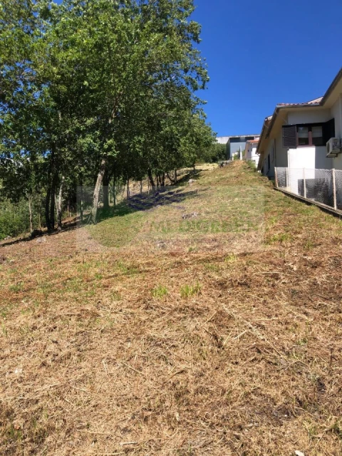 Terreno para Venda em Sever do Vouga