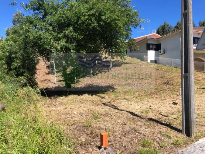Terreno para Venda em Sever do Vouga Foto 2