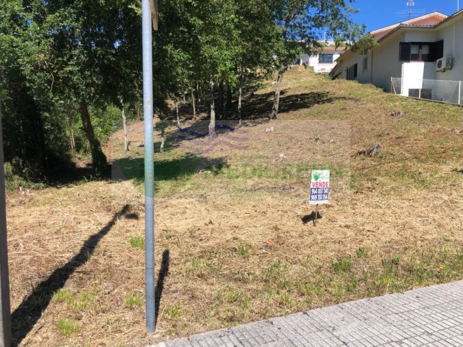 Terreno para Venda em Sever do Vouga Foto 4