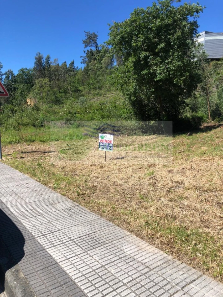 Terreno para Venda em Sever do Vouga Foto 5
