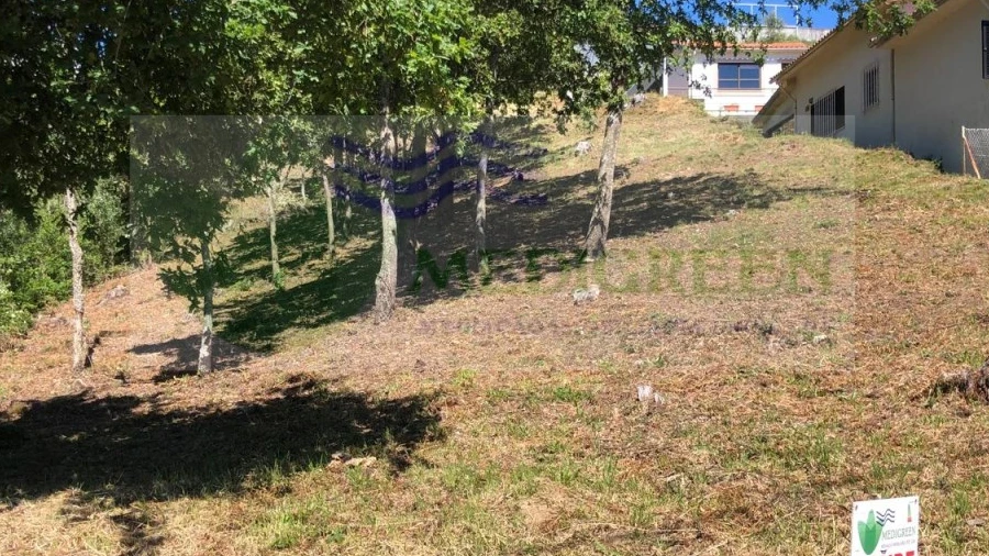 Terreno para Venda em Sever do Vouga