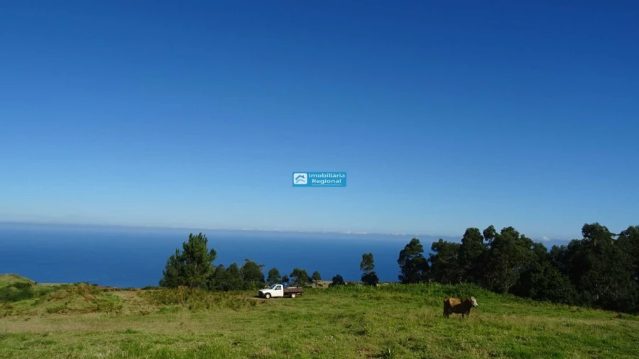 Terreno para Venda em Ponta do Pargo