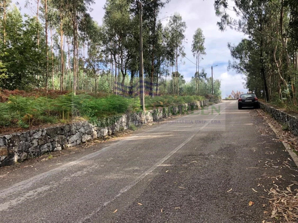 Terreno para Venda em Silva Escura e Dornelas Foto 2