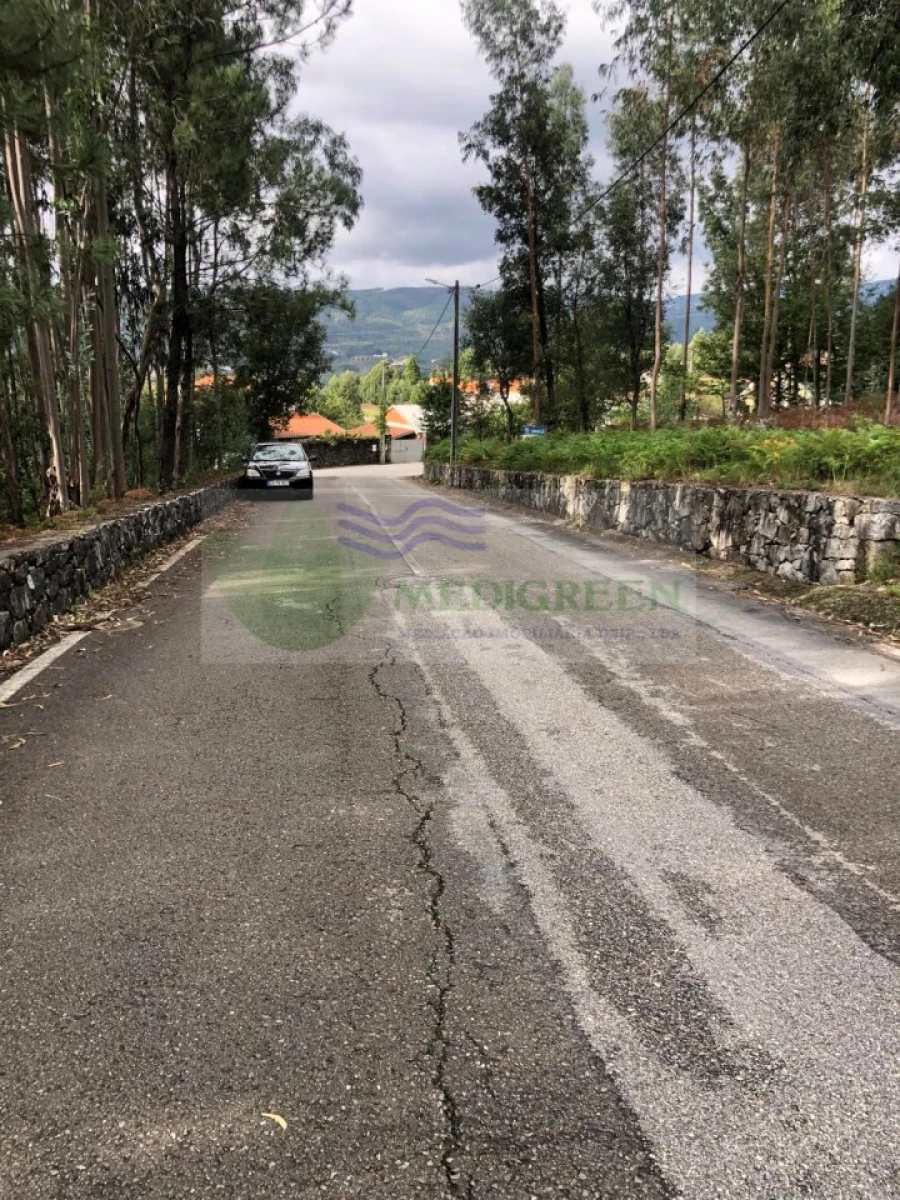 Terreno para Venda em Silva Escura e Dornelas Foto 5