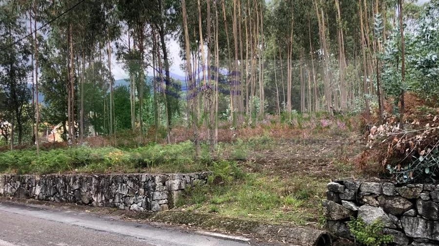 Terreno para Venda em Silva Escura e Dornelas