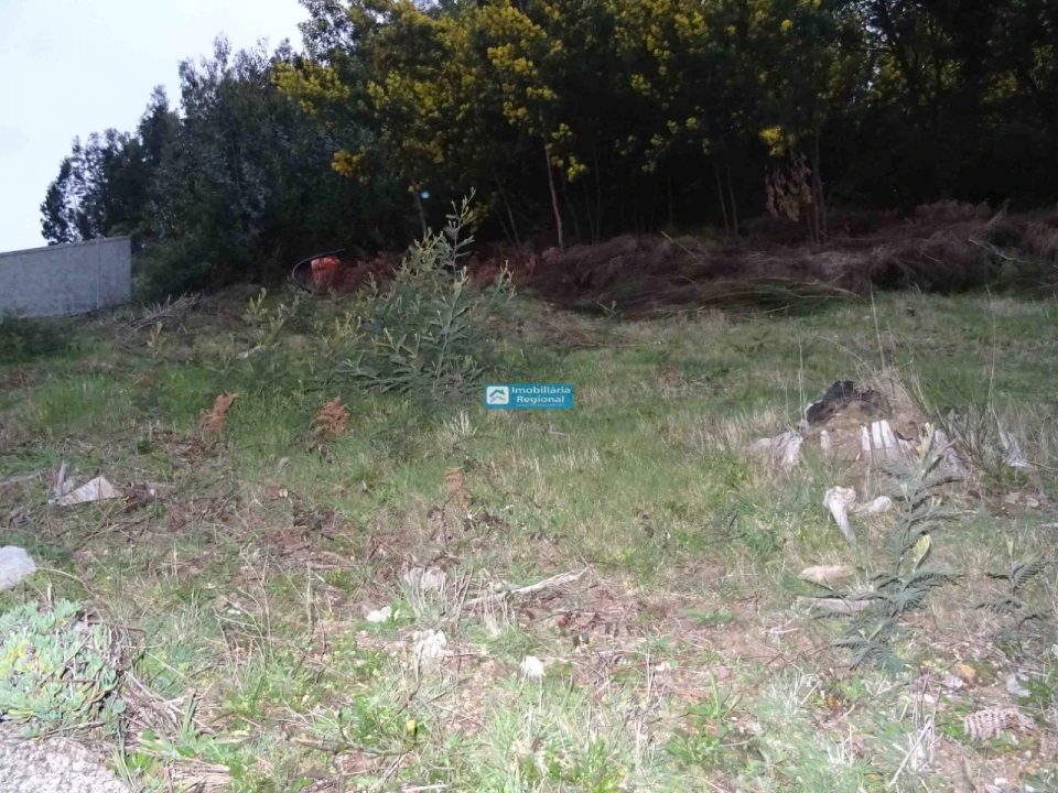 Terreno para Venda em Camacha Foto 12