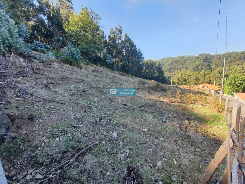 Terreno para Venda em Camacha Foto 4