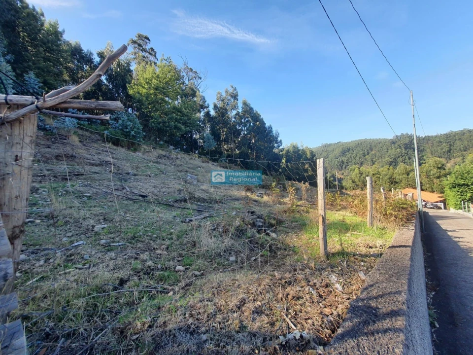 Terreno para Venda em Camacha Foto 5