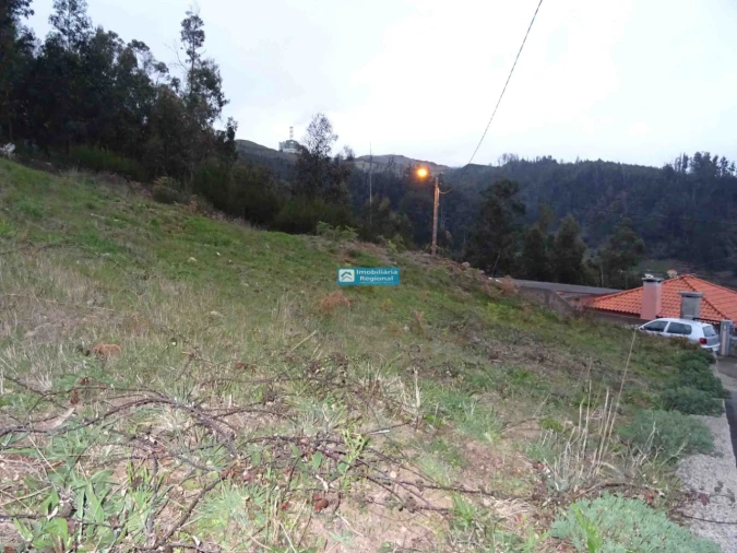 Terreno para Venda em Camacha Foto 9