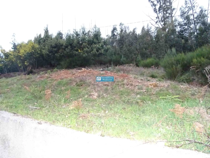 Terreno para Venda em Camacha Foto 10