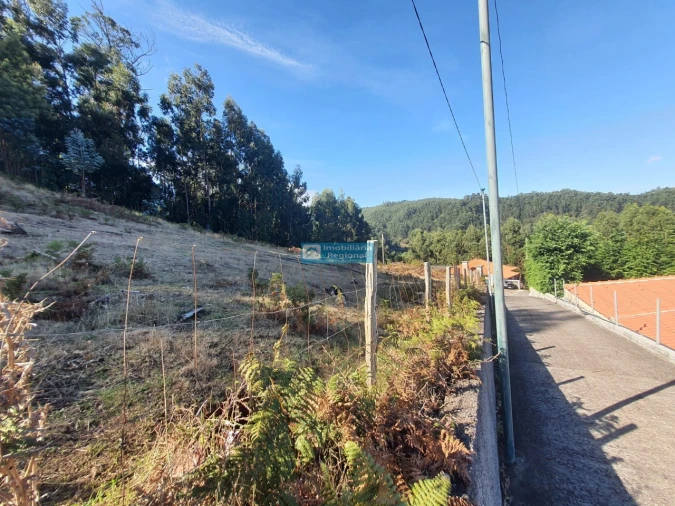 Terreno para Venda em Camacha