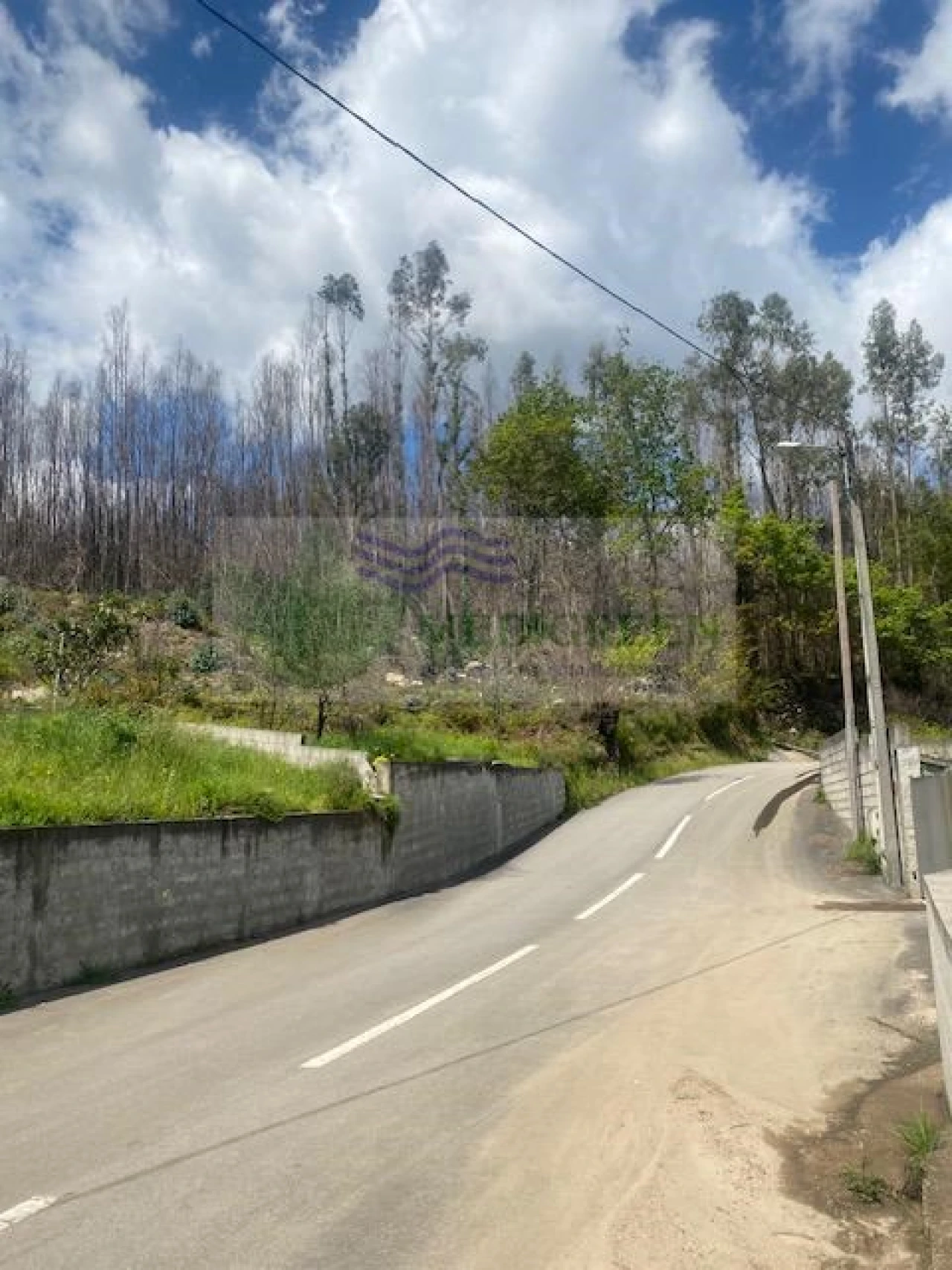 Terreno para Venda em Pessegueiro do Vouga Foto 2
