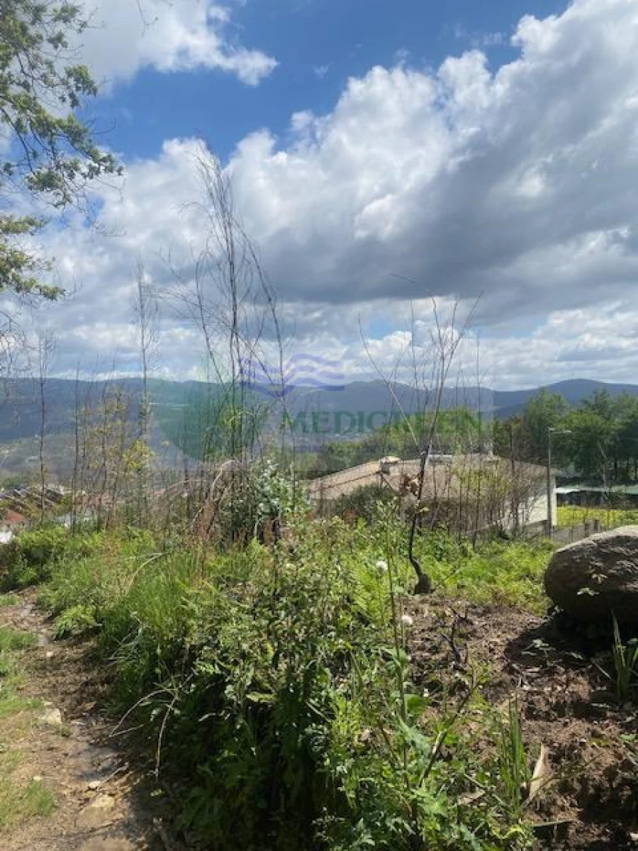 Terreno para Venda em Pessegueiro do Vouga Foto 7