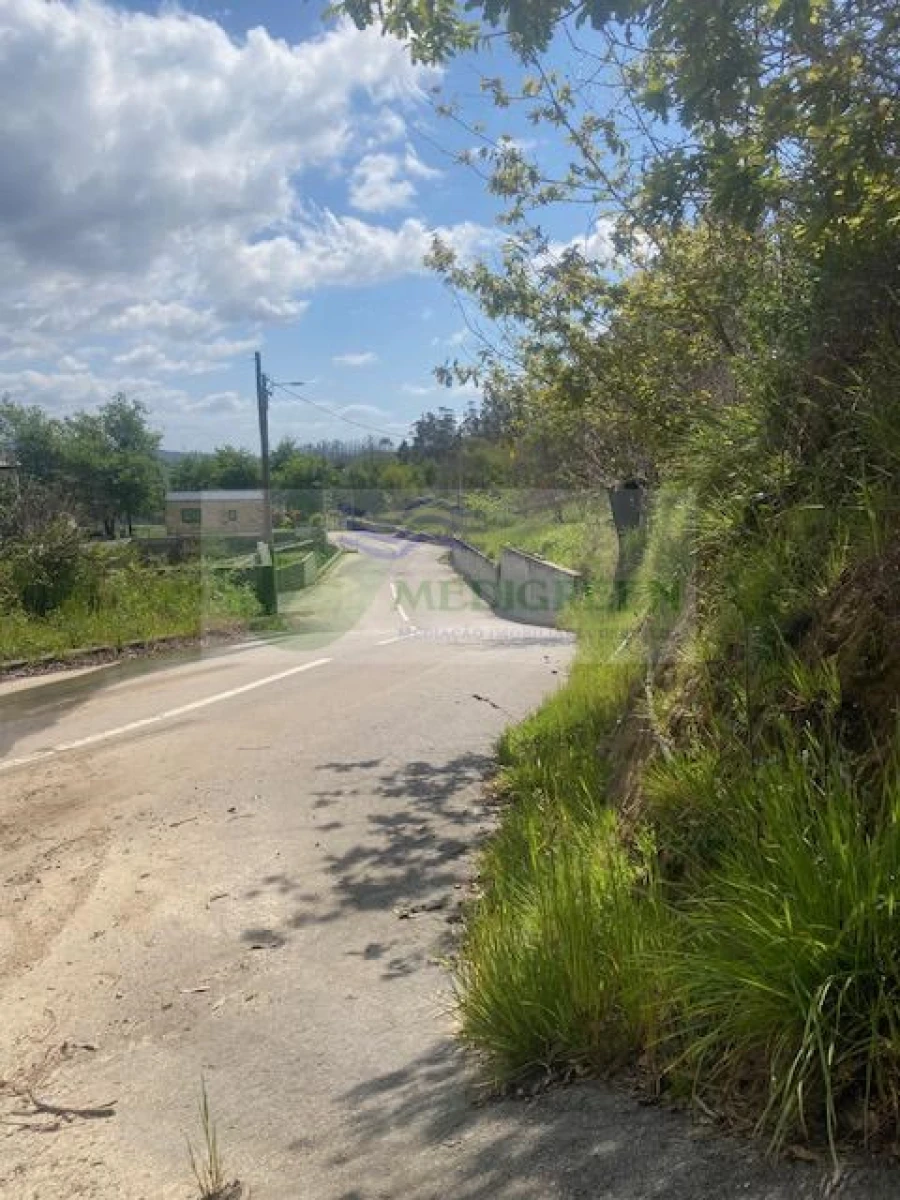 Terreno para Venda em Pessegueiro do Vouga Foto 8