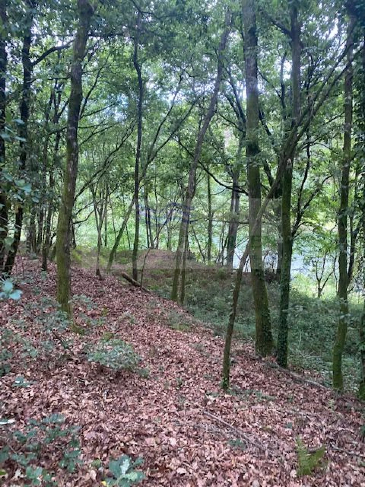 Terreno para Venda em Arcozelo das Maias Foto 2