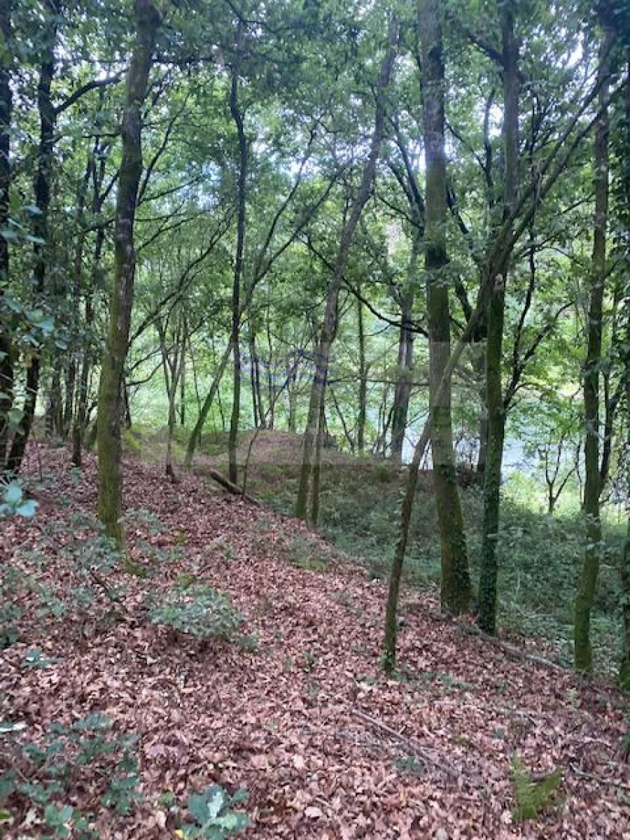Terreno para Venda em Arcozelo das Maias Foto 2