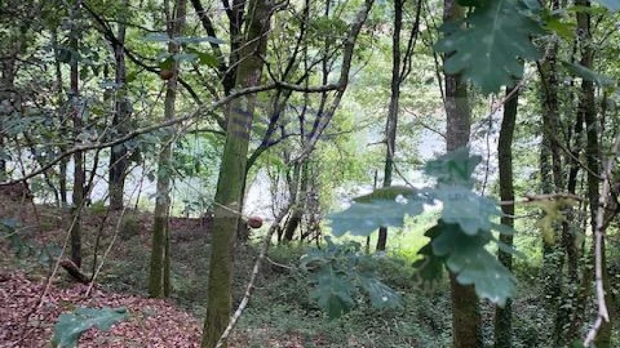 Terreno para Venda em Arcozelo das Maias