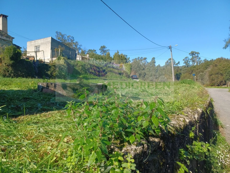 Terreno para Venda em Silva Escura e Dornelas Foto 3
