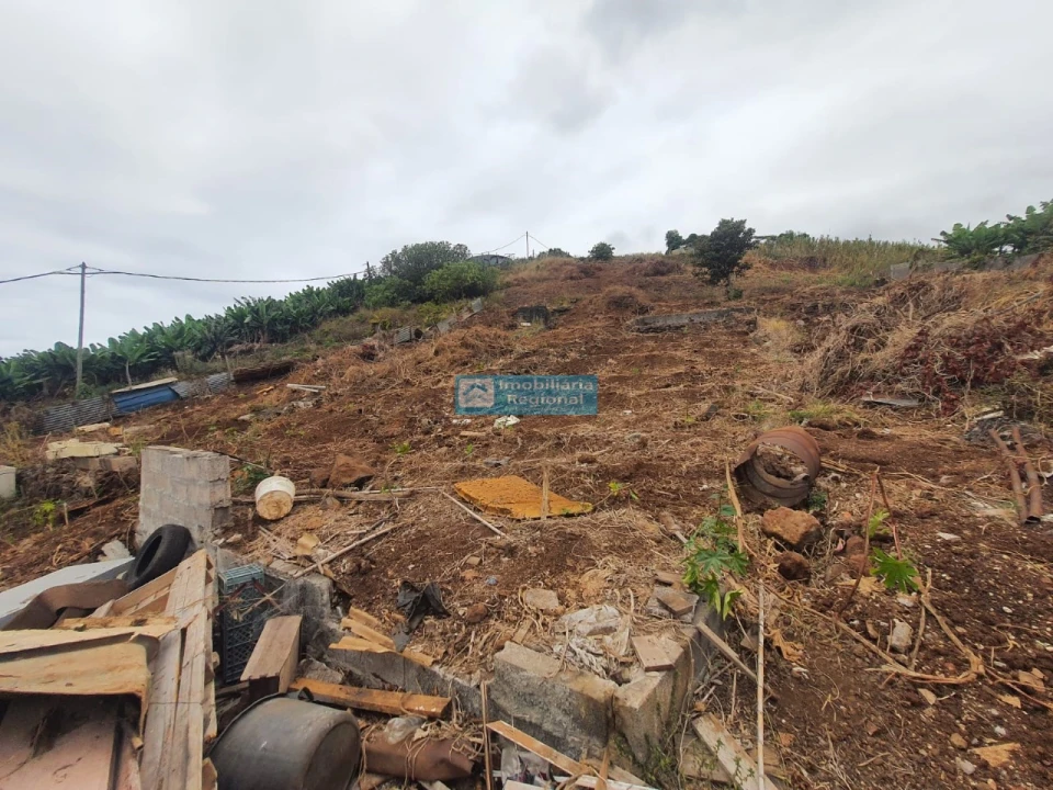 Terreno para Venda em São Martinho Foto 2