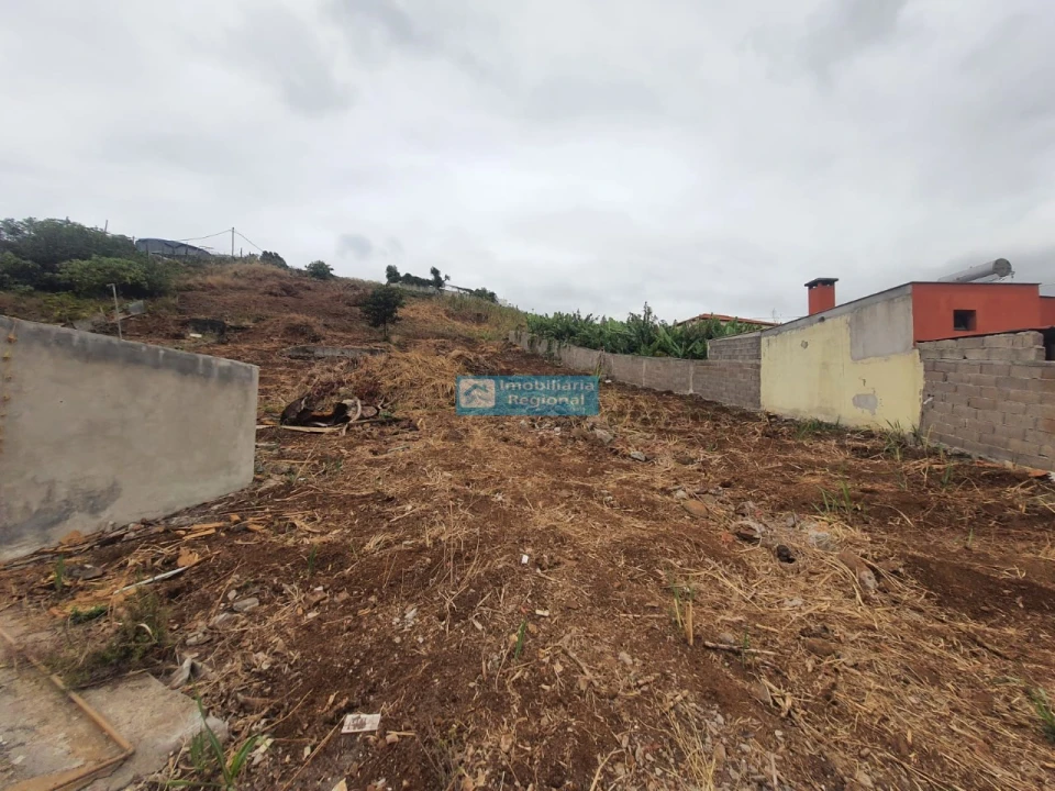 Terreno para Venda em São Martinho Foto 4