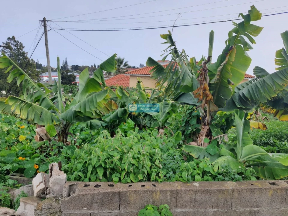 Terreno para Venda em São Martinho Foto 17