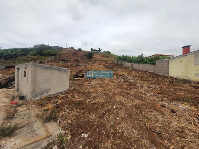 Terreno para Venda em São Martinho Foto 11