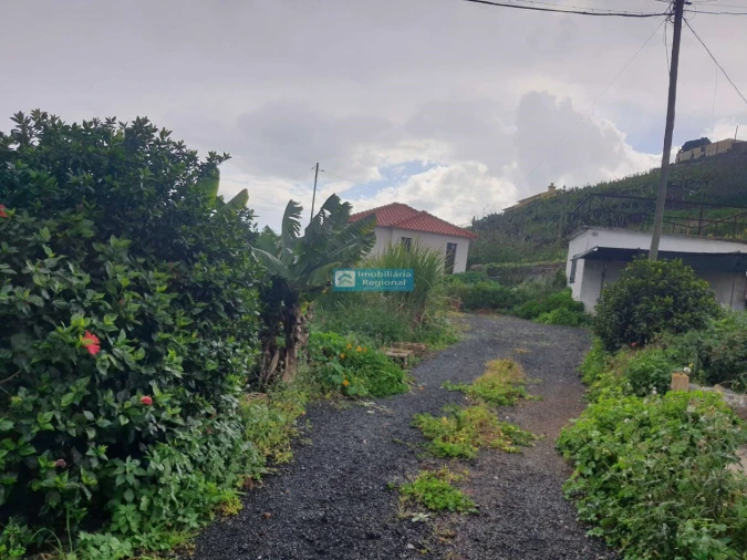 Terreno para Venda em São Martinho Foto 14