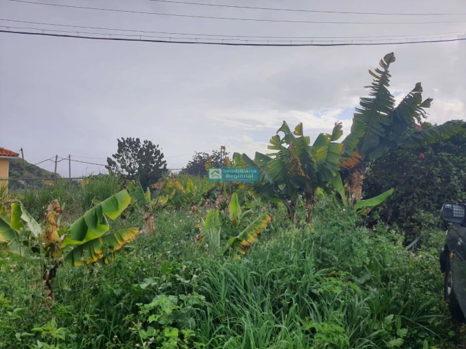 Terreno para Venda em São Martinho Foto 16