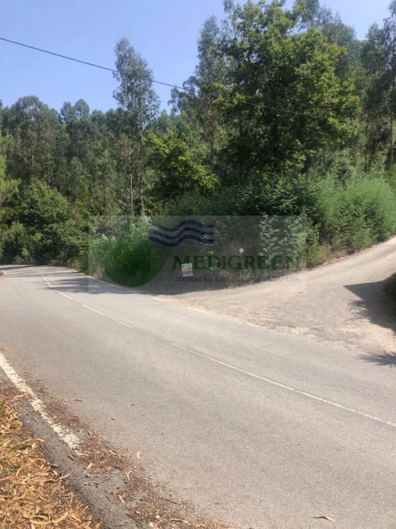 Terreno para Venda em Cedrim e Paradela Foto 5