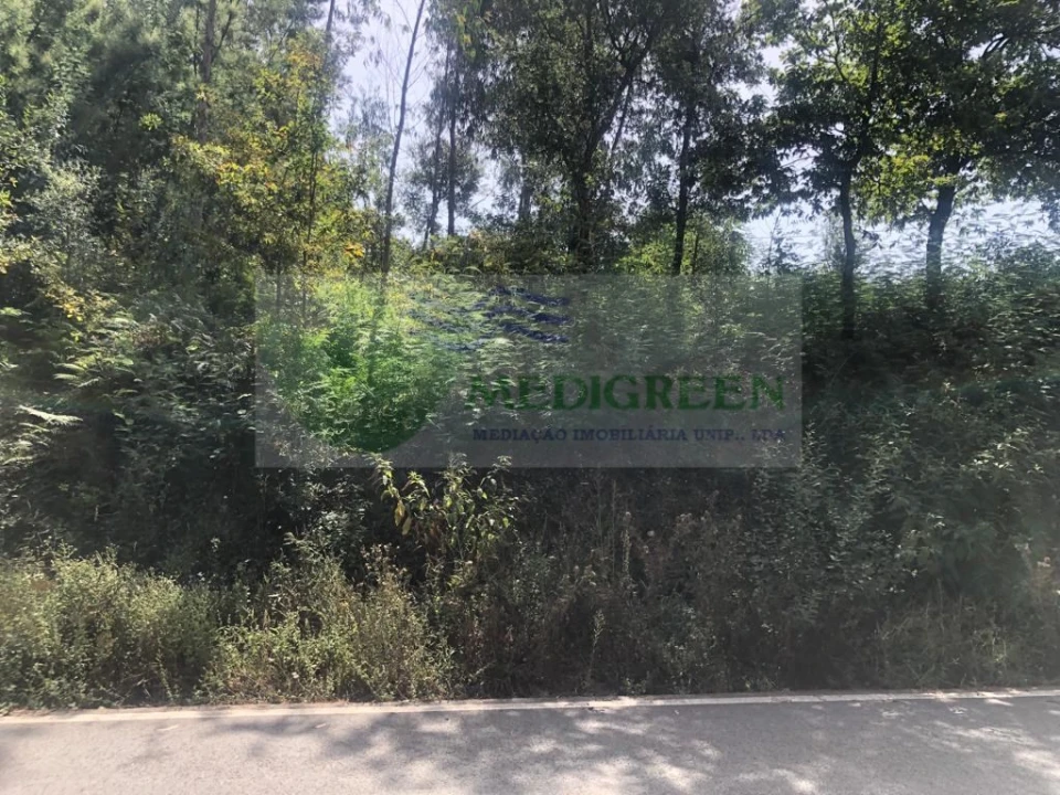 Terreno para Venda em Cedrim e Paradela Foto 7