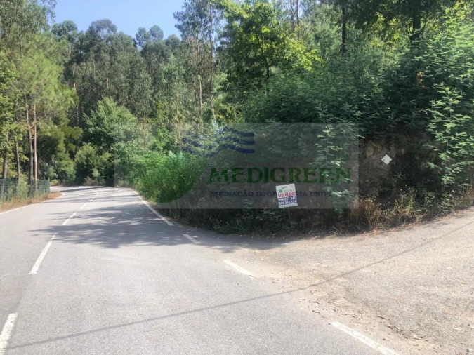 Terreno para Venda em Cedrim e Paradela Foto 4