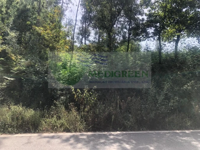 Terreno para Venda em Cedrim e Paradela Foto 7