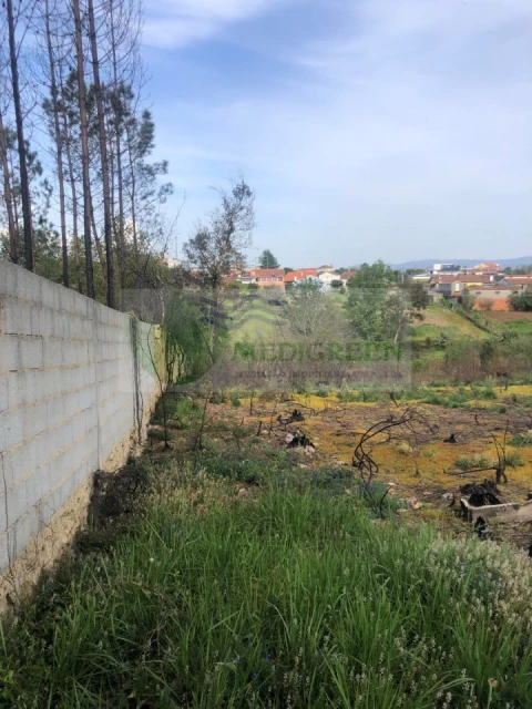 Terreno para Venda em Albergaria-A-Velha e Valmaior