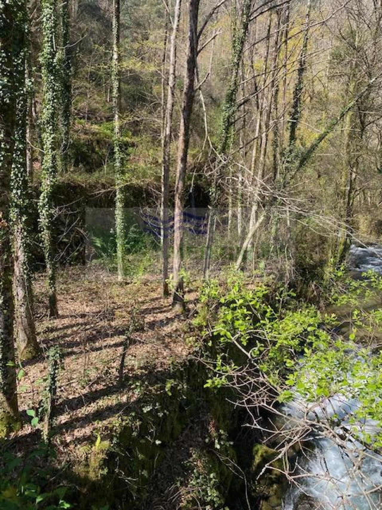Terreno para Venda em Couto de Esteves Foto 4