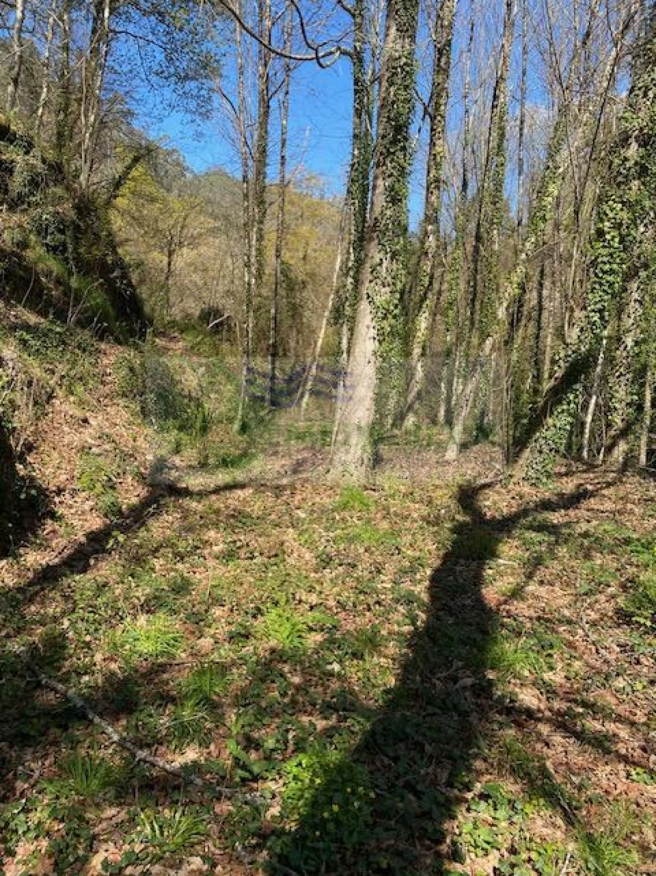 Terreno para Venda em Couto de Esteves Foto 10