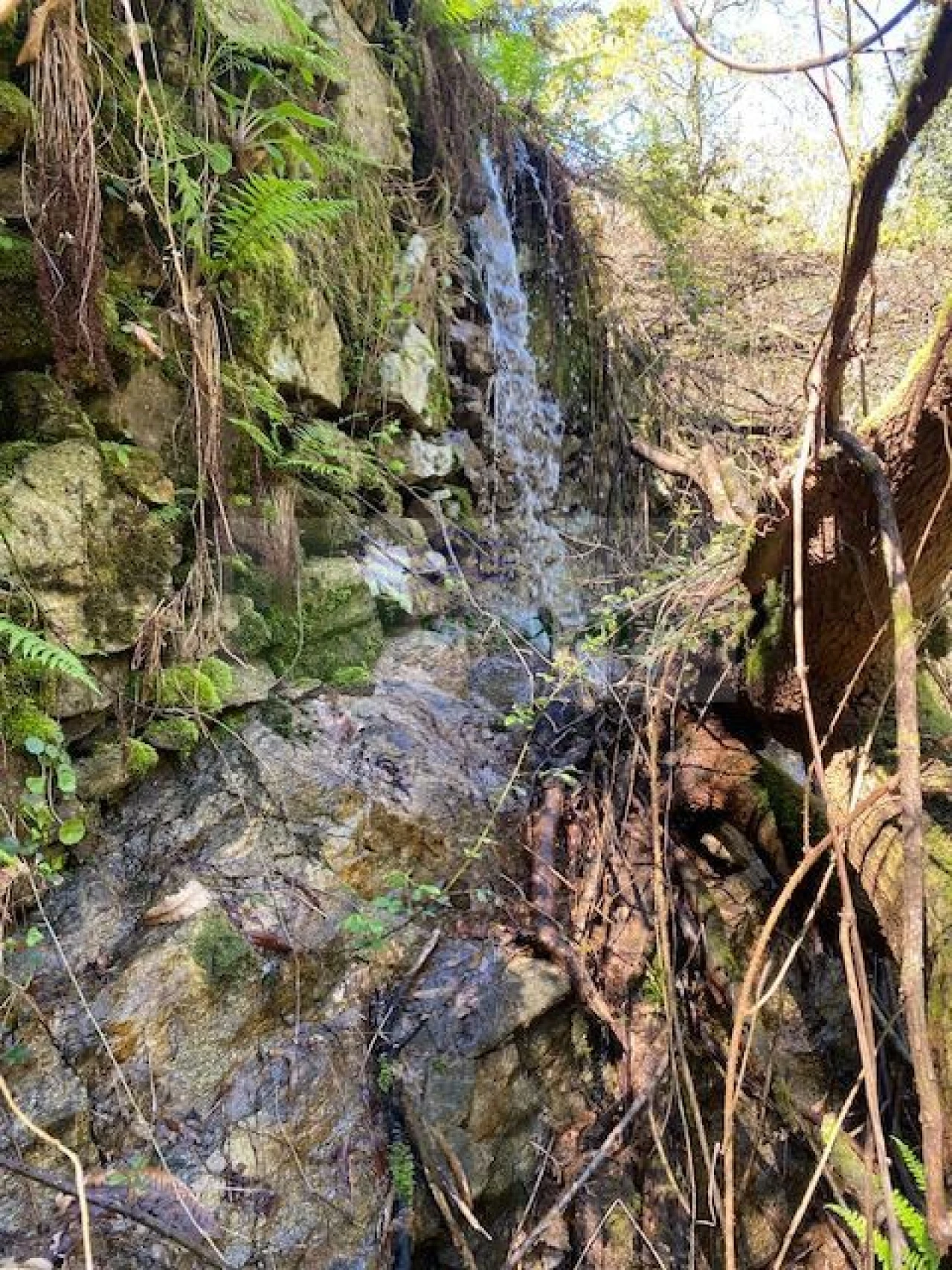 Terreno para Venda em Couto de Esteves Foto 11