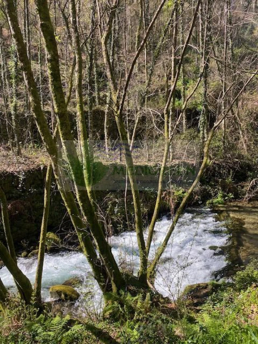 Terreno para Venda em Couto de Esteves Foto 6