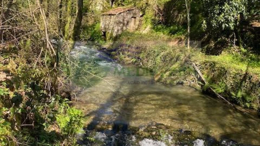 Terreno para Venda em Couto de Esteves
